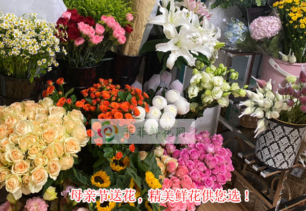 2024太原迎泽区母亲节送花,太原迎泽区精美鲜花供您选!